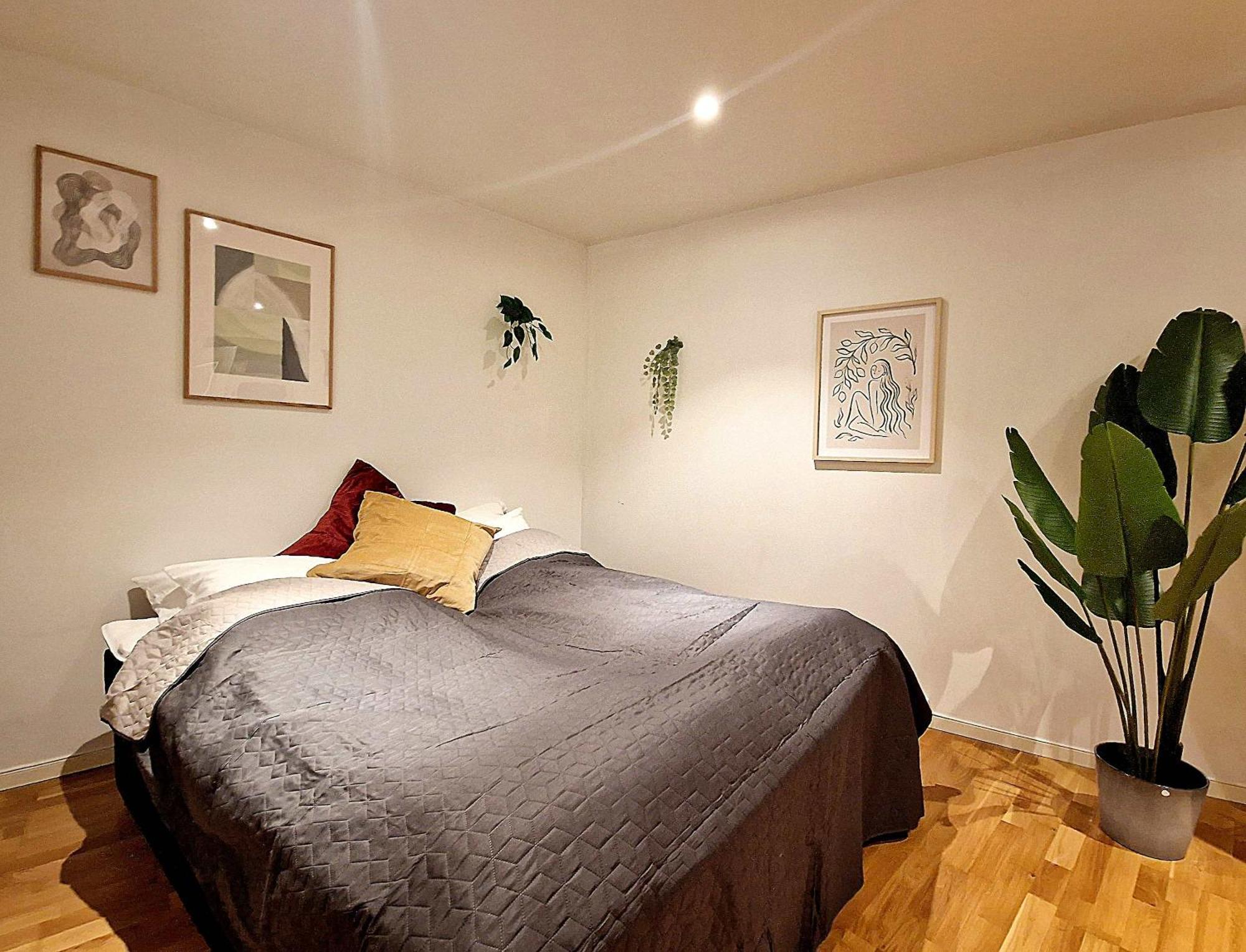 Center Retreat With King Bed Apartment *