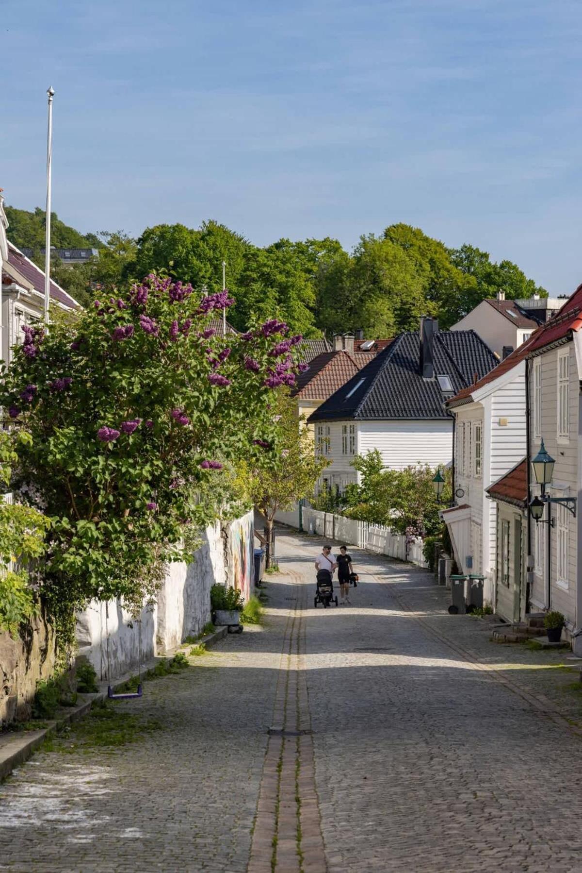 Holiday home Dinbnb L 600 M To Bryggen L 3-story House L New In 2023 Bergen