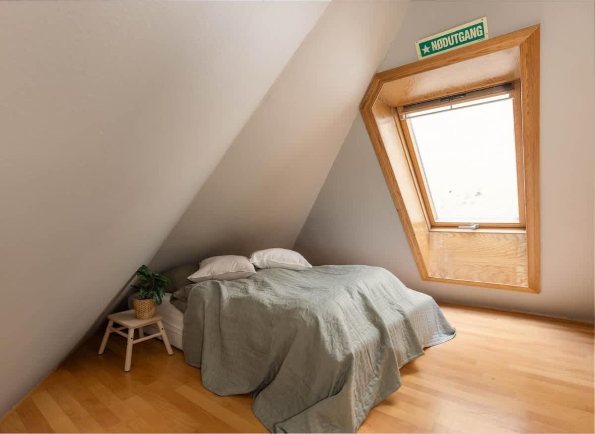 Apartment Dinbnb L 50 Meters To Bryggen L New 2023 L Sunny Backyard *