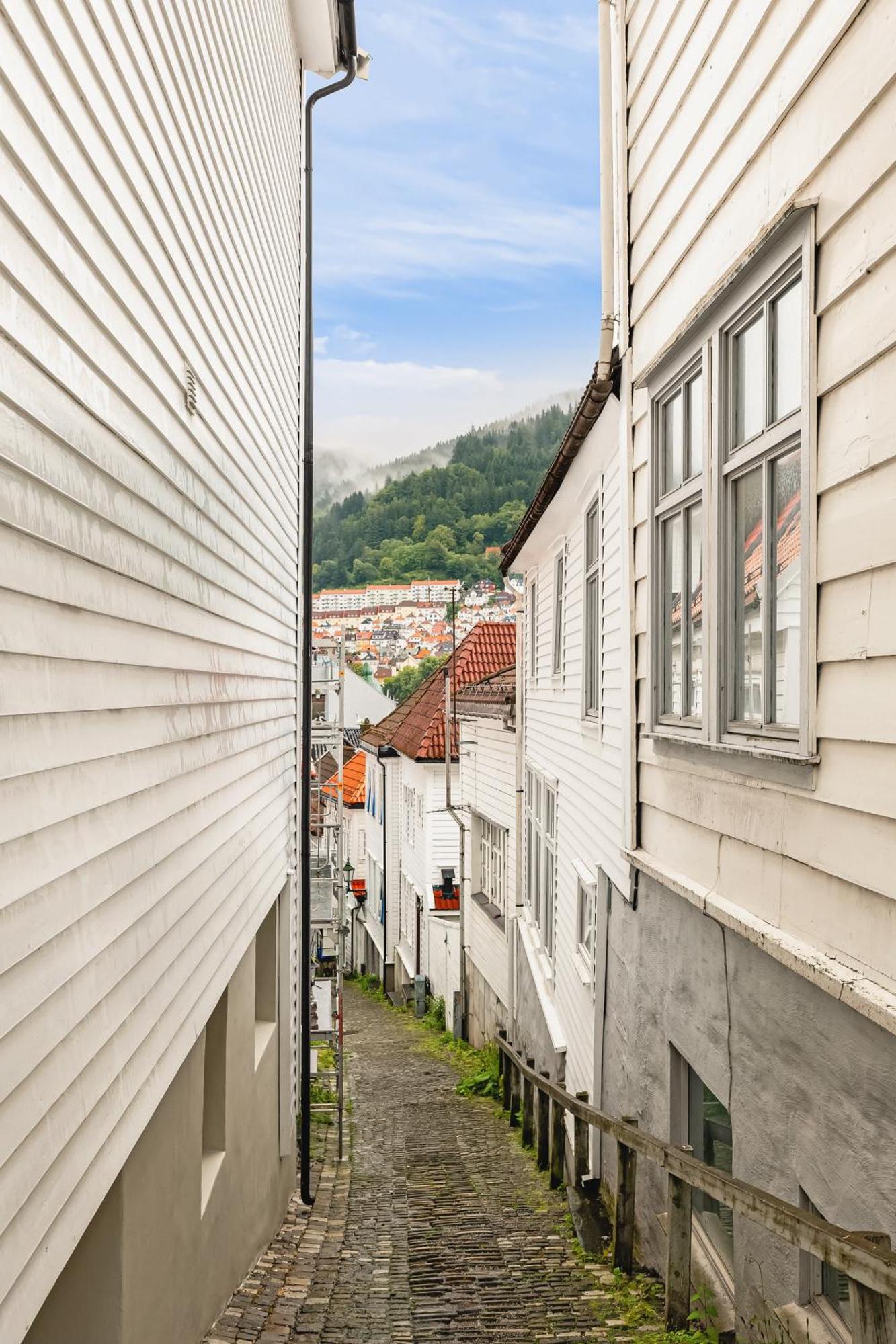500 M Til Bryggen I Skjermet Uteplass! Apartment