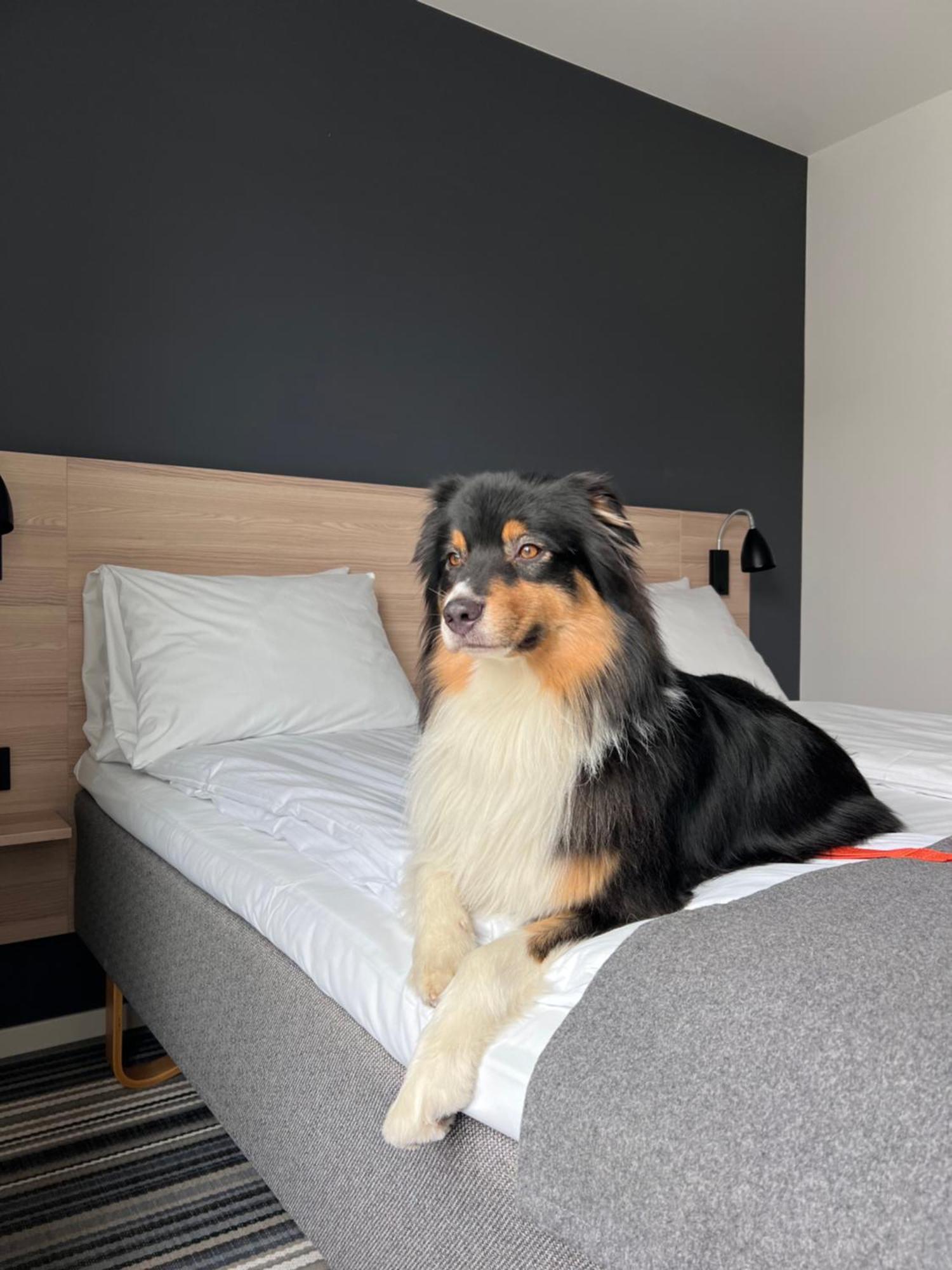 Citybox Hotel