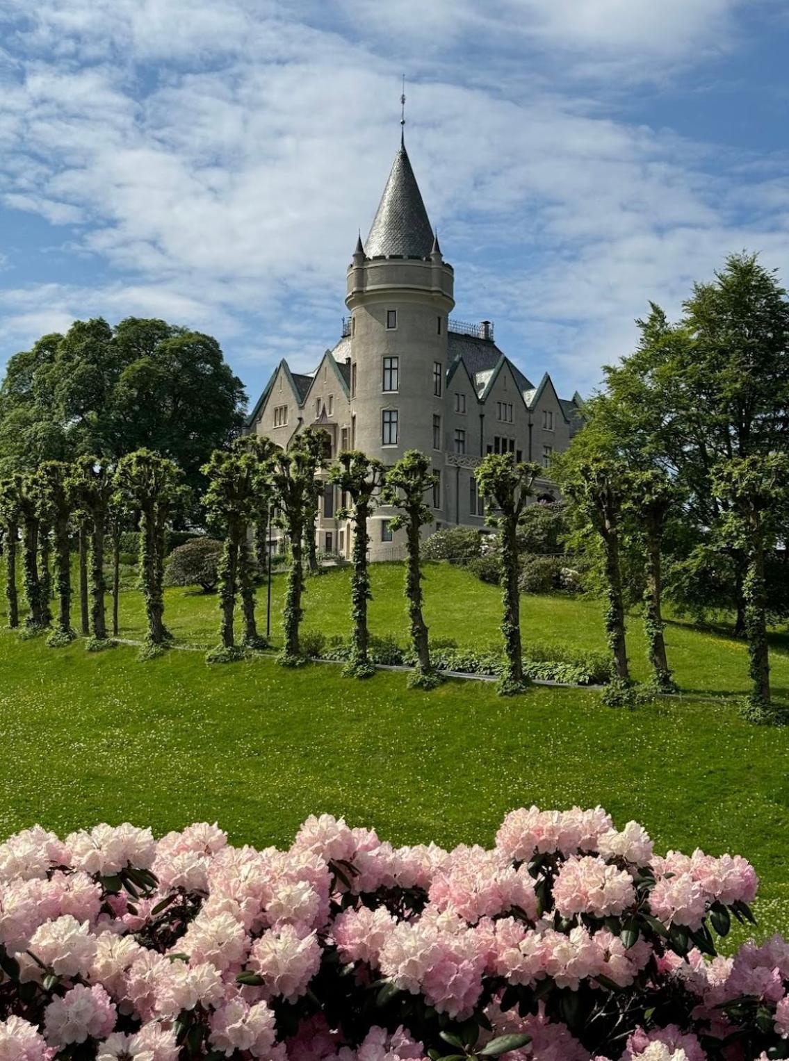 Apartment Bright Near The Castle Free Parking Comfort & Elegance
