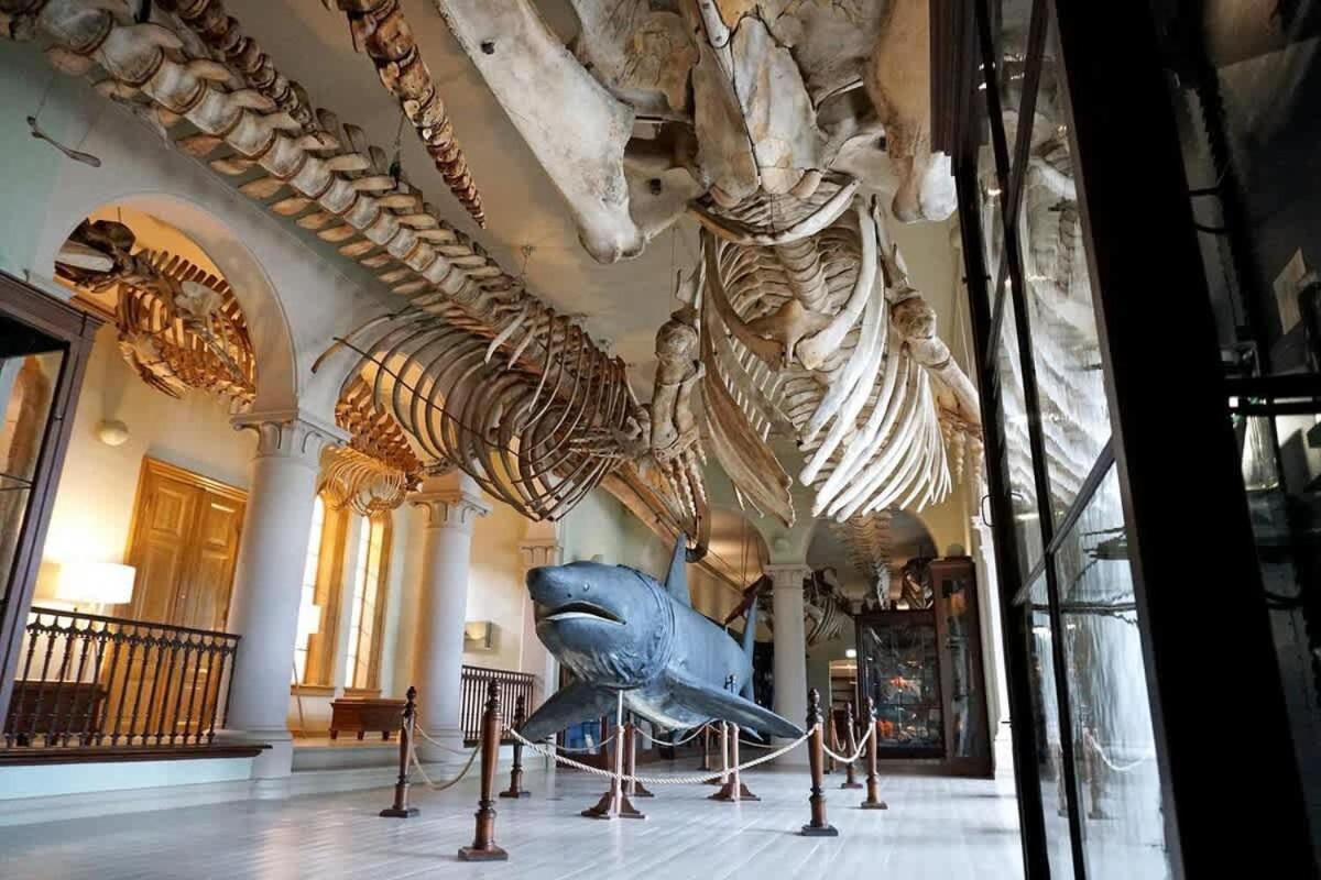 Dinbnb L Historical Building I 100m To Museum Apartment *