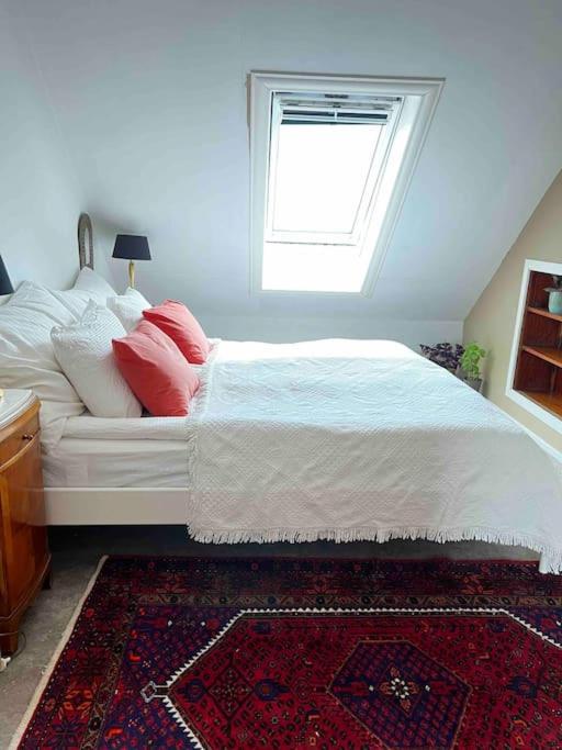 Apartment 2br With Balconies And Art In Historical Area *