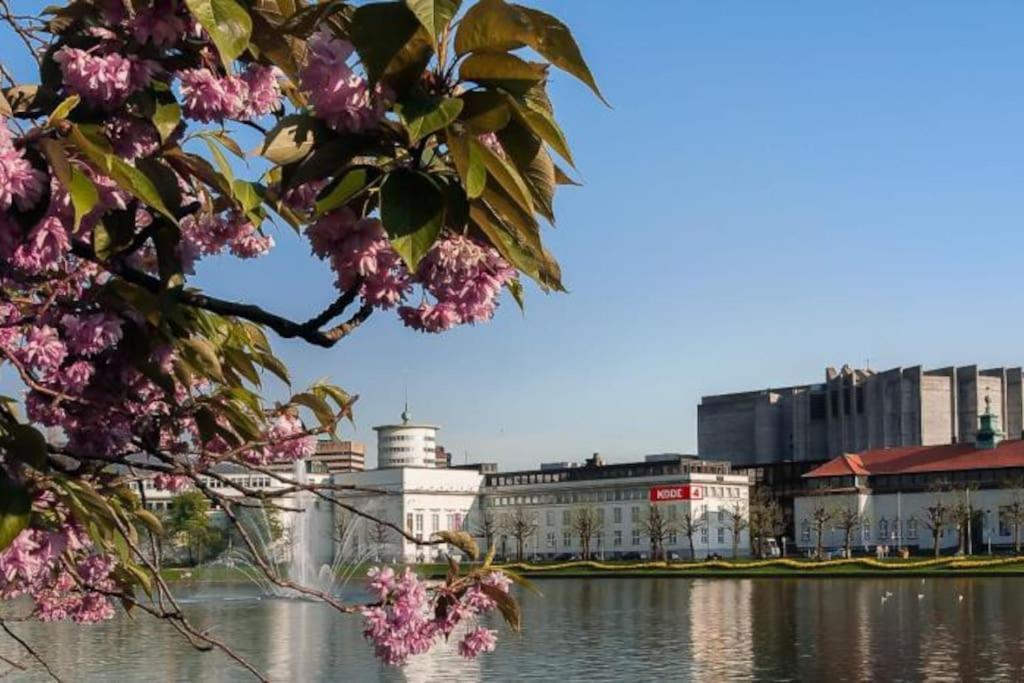 Apartment 2br With Balconies And Art In Historical Area *