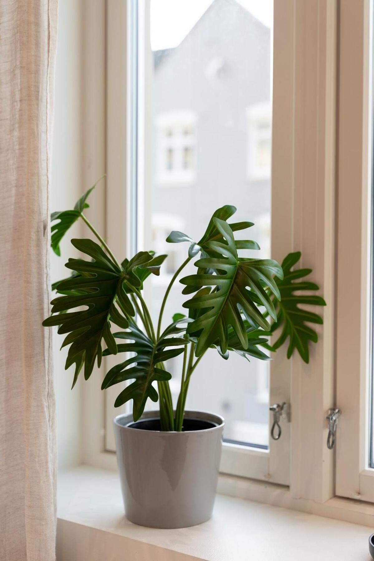Renovated 3 Room Home In Historical Sandviken Bergen