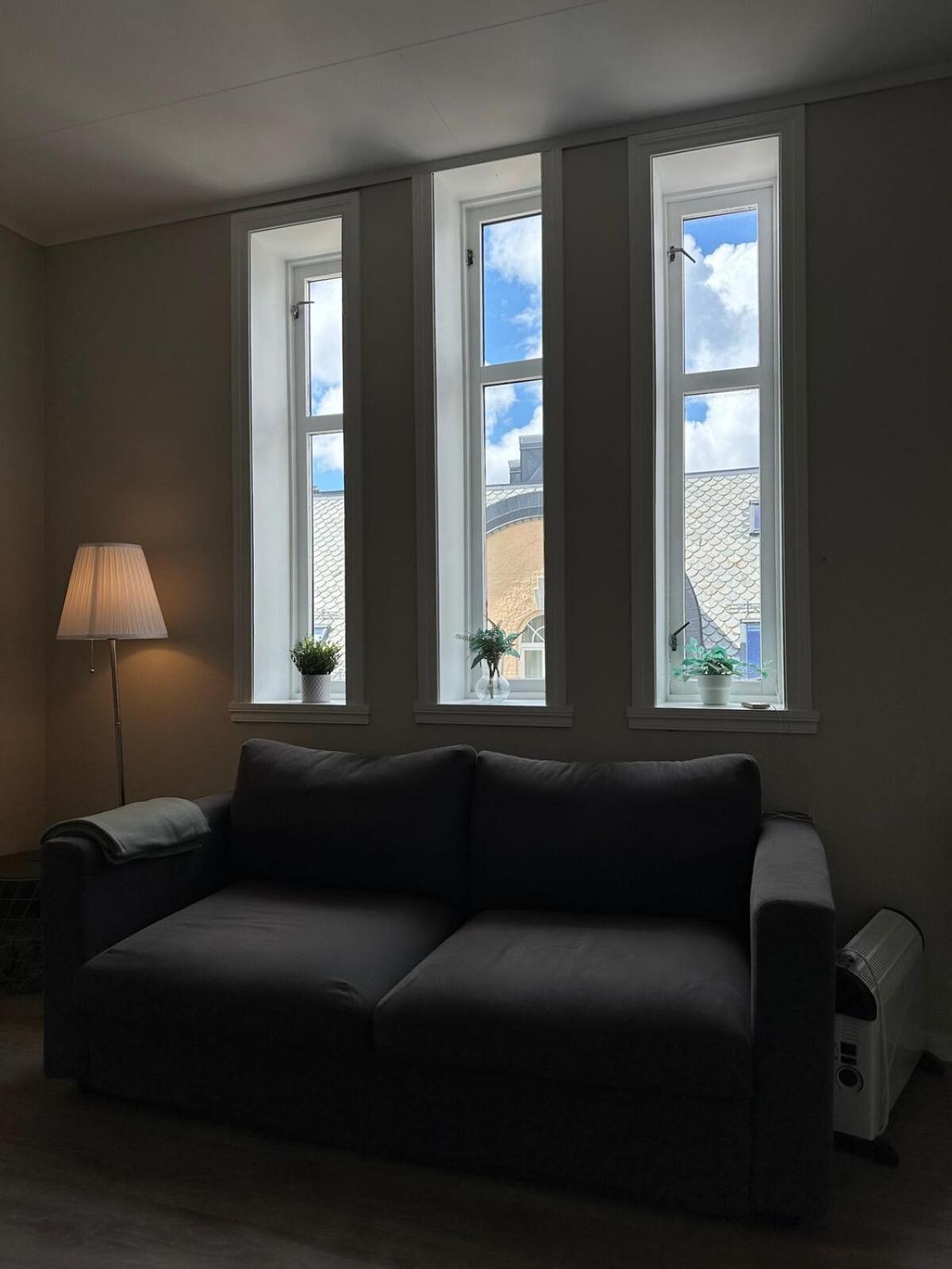 Bryggen Penthouse