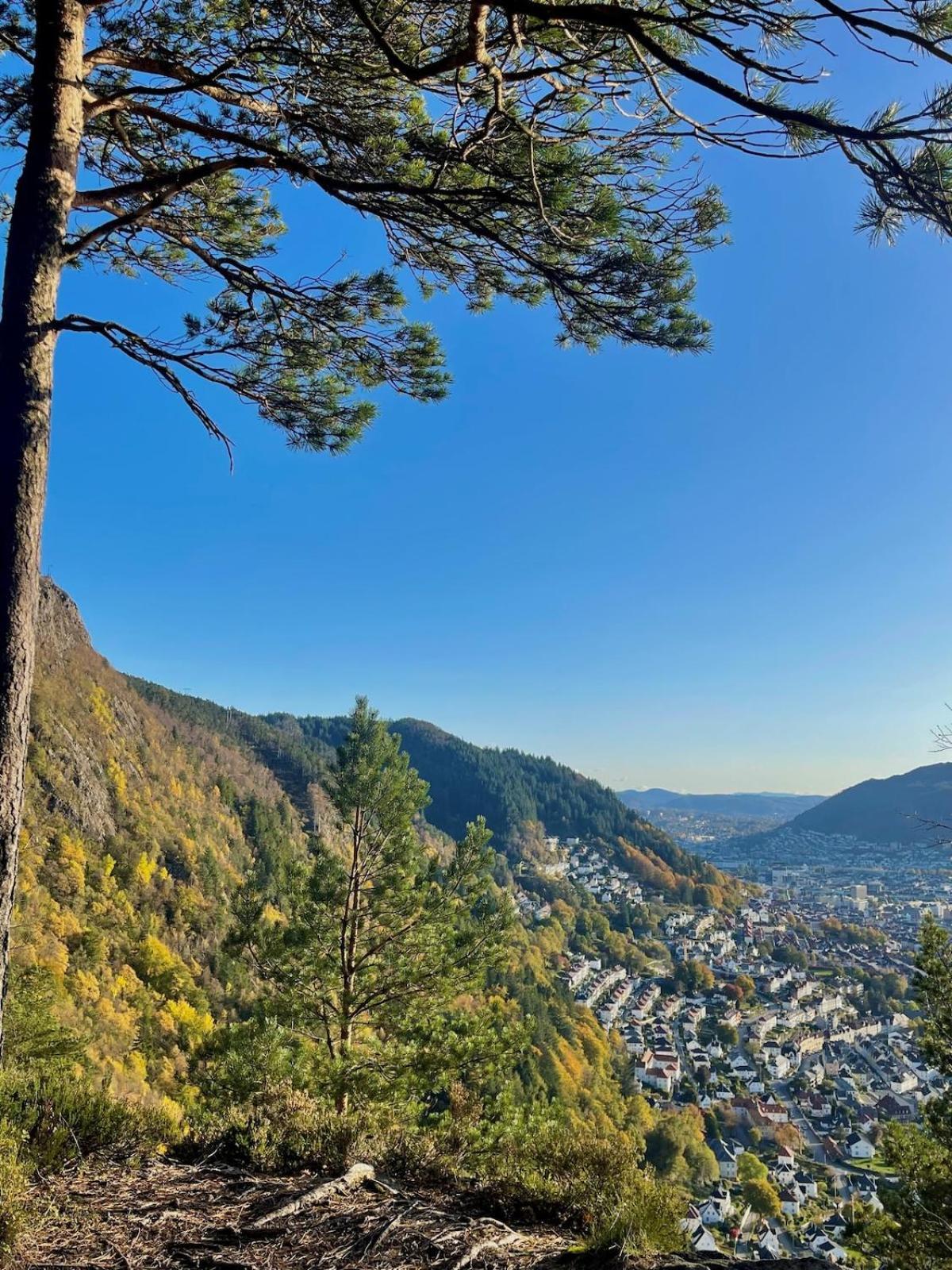 Modern Near Center Of Apartment Bergen
