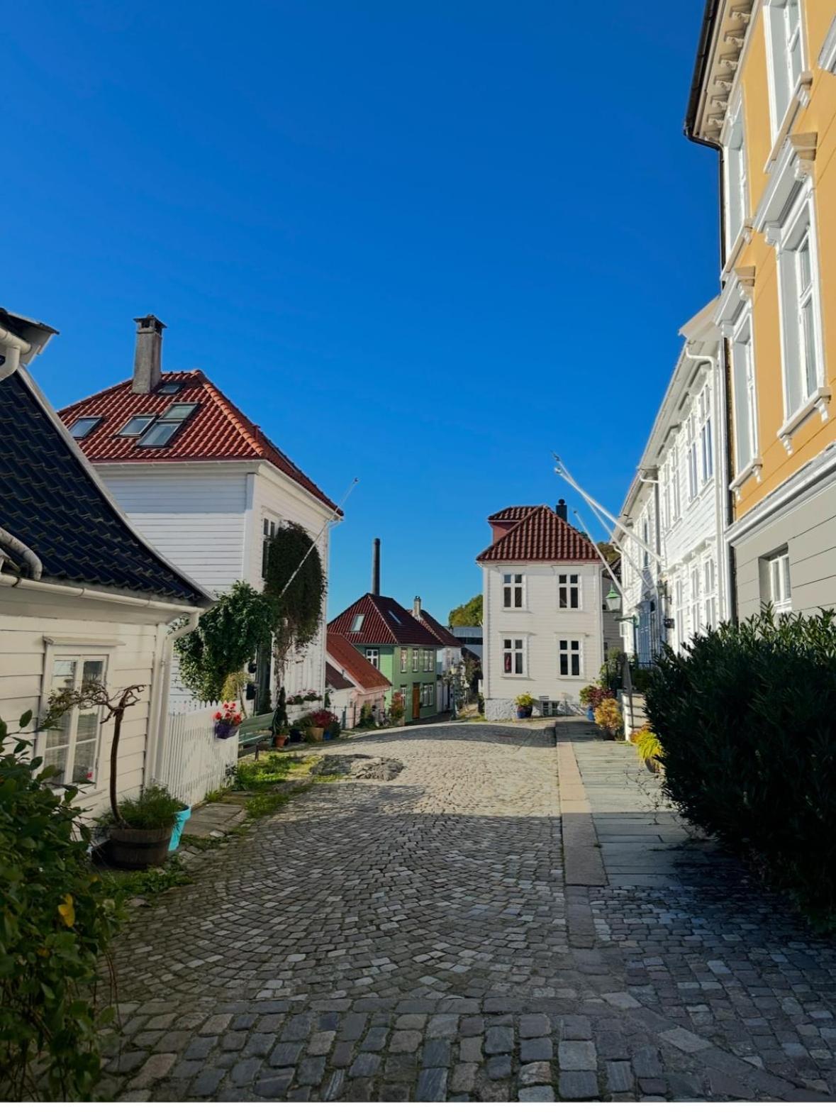 The Stairwell In Nordnes *