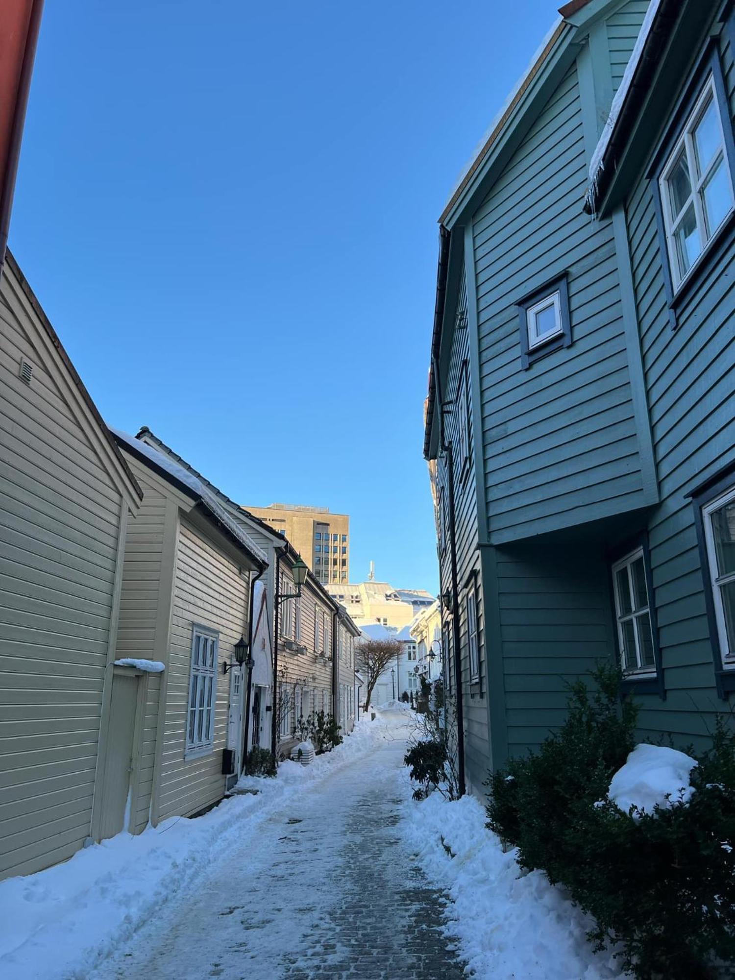 Cozy Flat In The Heart Of Bergen