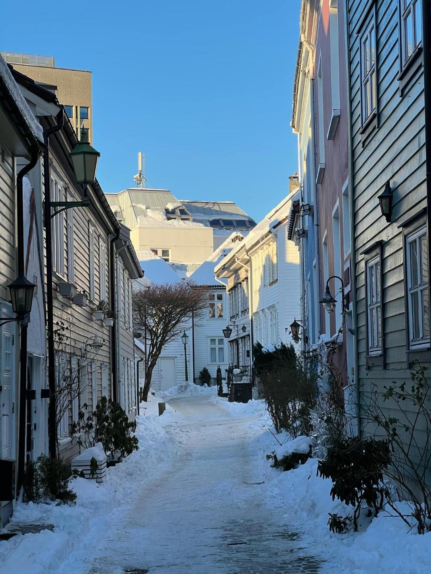 Cozy Flat In The Heart Of * Bergen