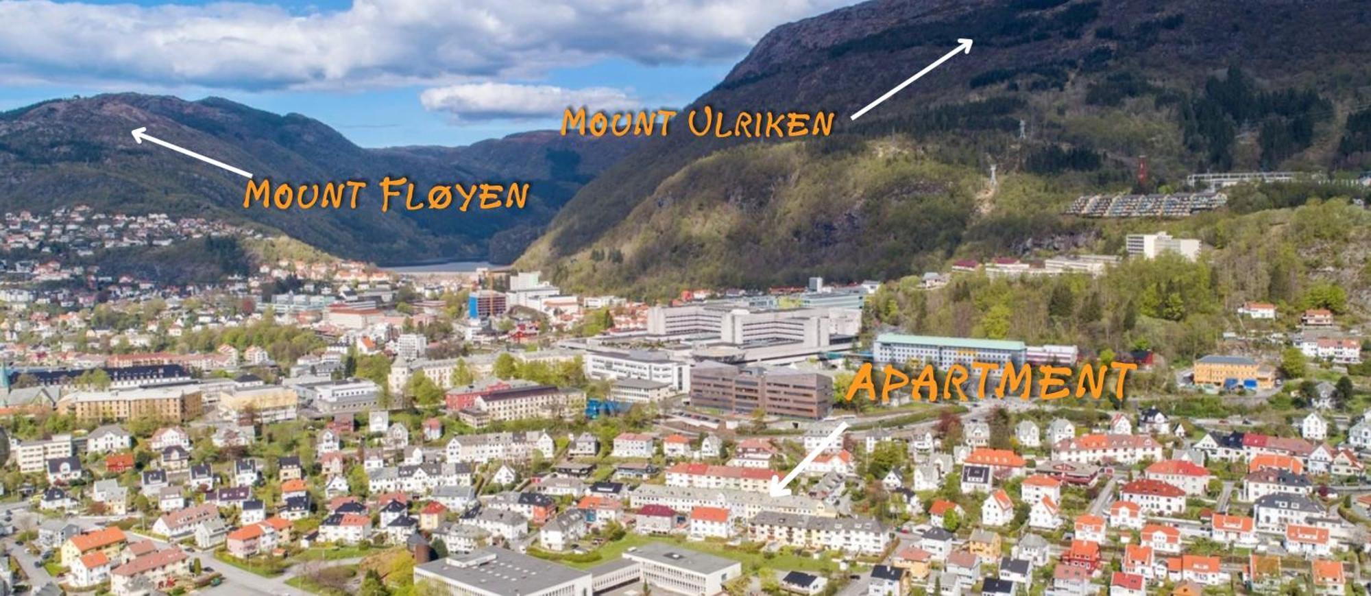 Cozy Near Center And The Mountains Apartment Bergen