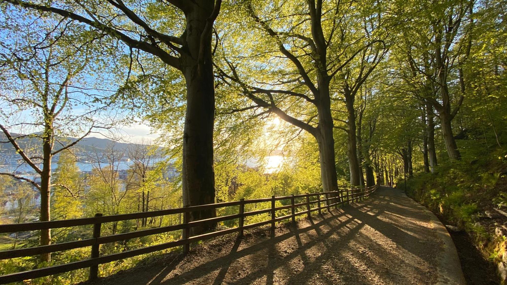 Modern Suites, Excellent Location In The Heart Of Apartment Bergen