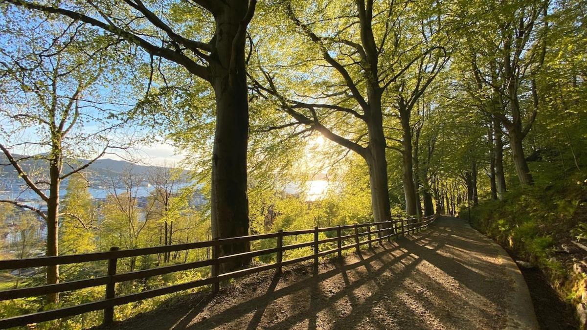 Apartment Modern Suites, Excellent Location In The Heart Of Bergen
