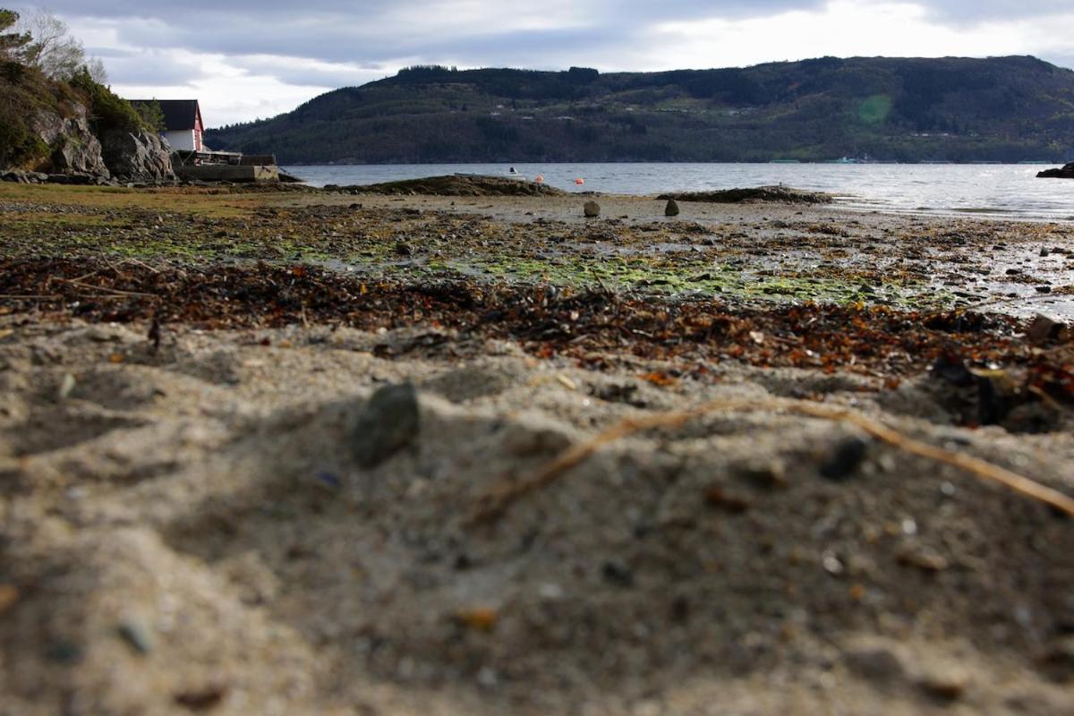 Villa Single-family With Panorama View To The Fjord *