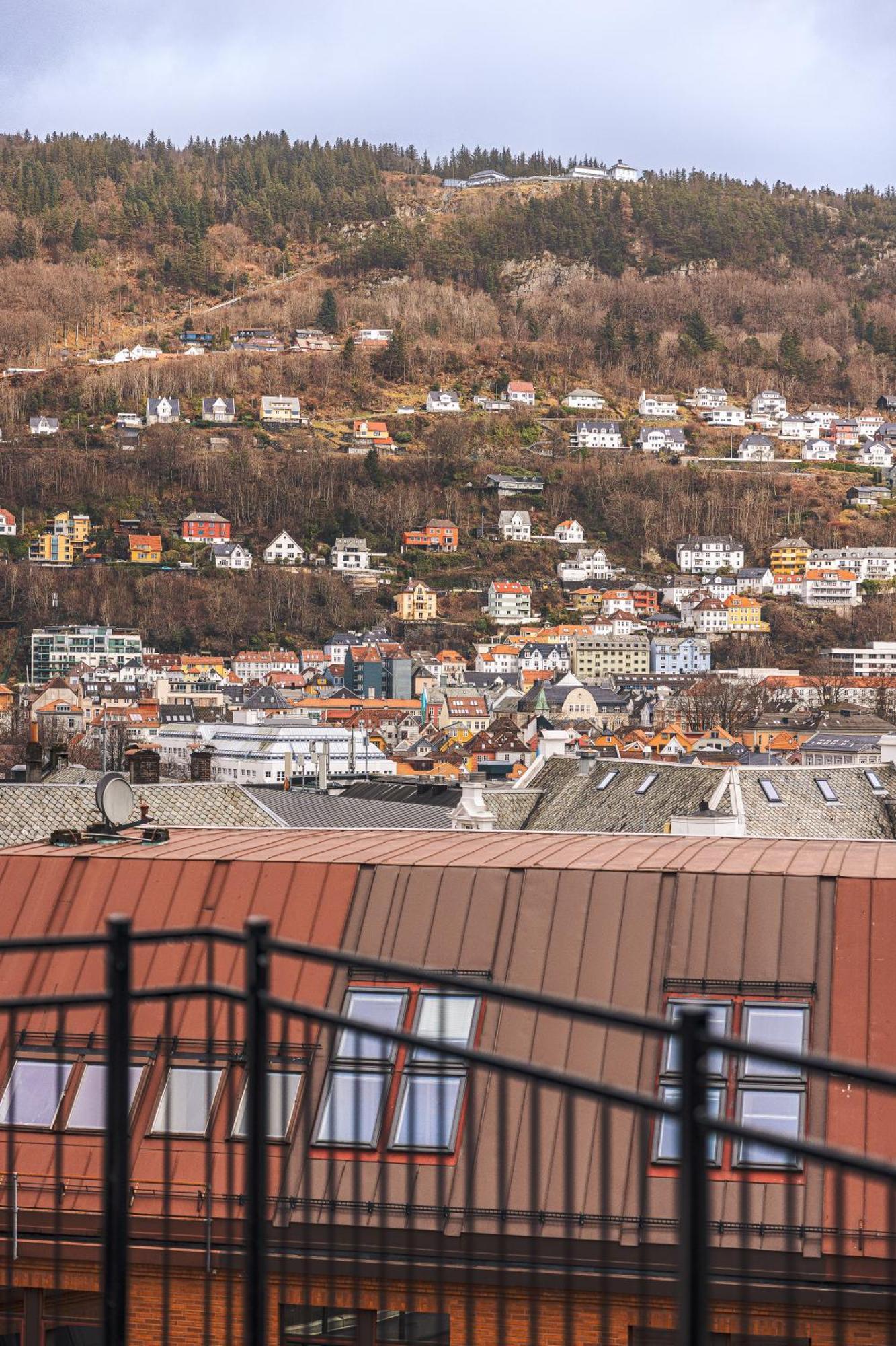 Rosenberg Bergen