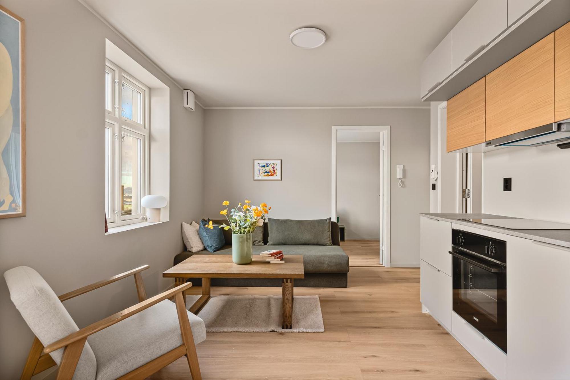 Apartment Panorama - View In L 2br & Terrace Bergen