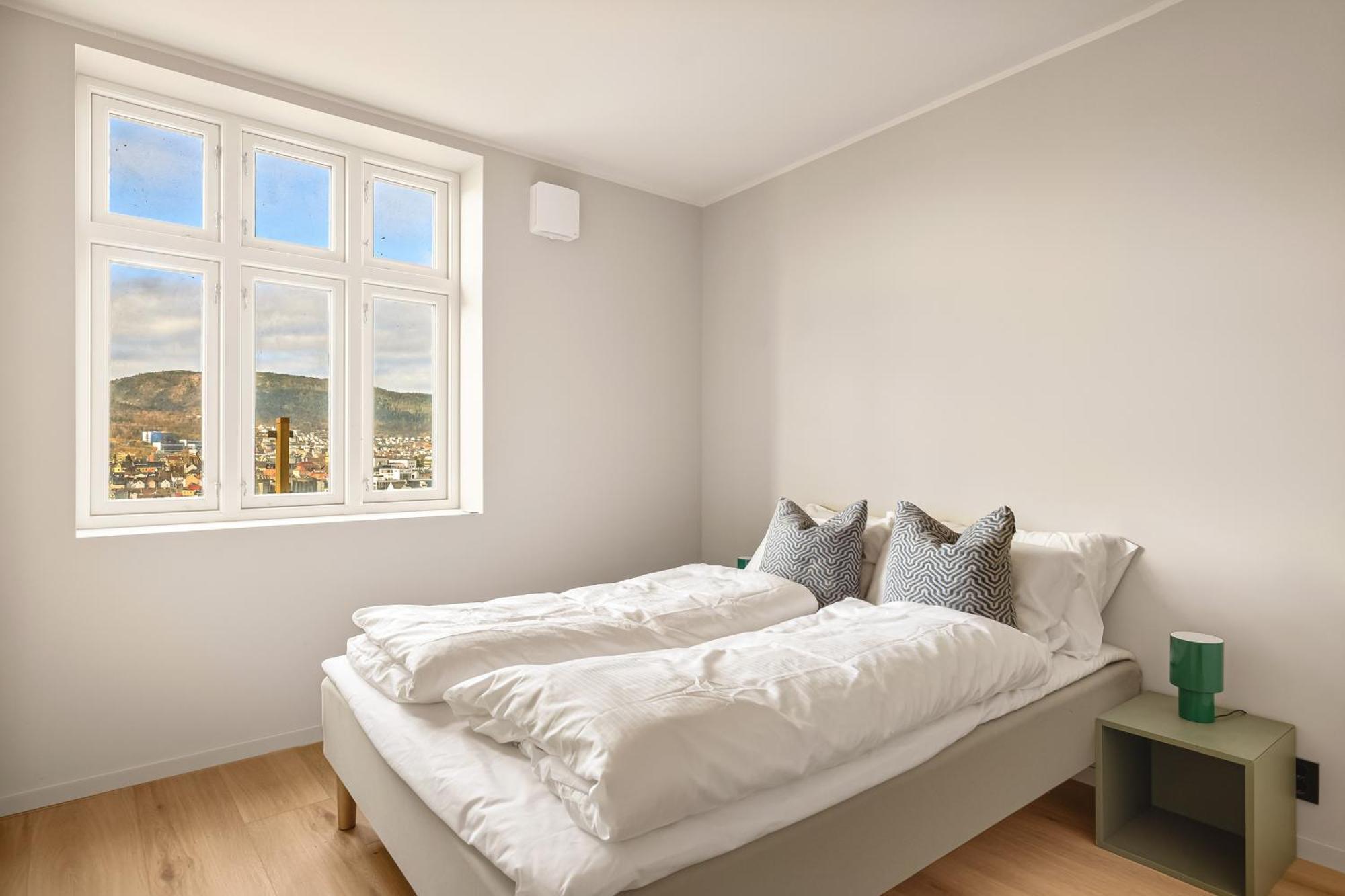 Apartment Panorama - View In L 2br & Terrace Bergen