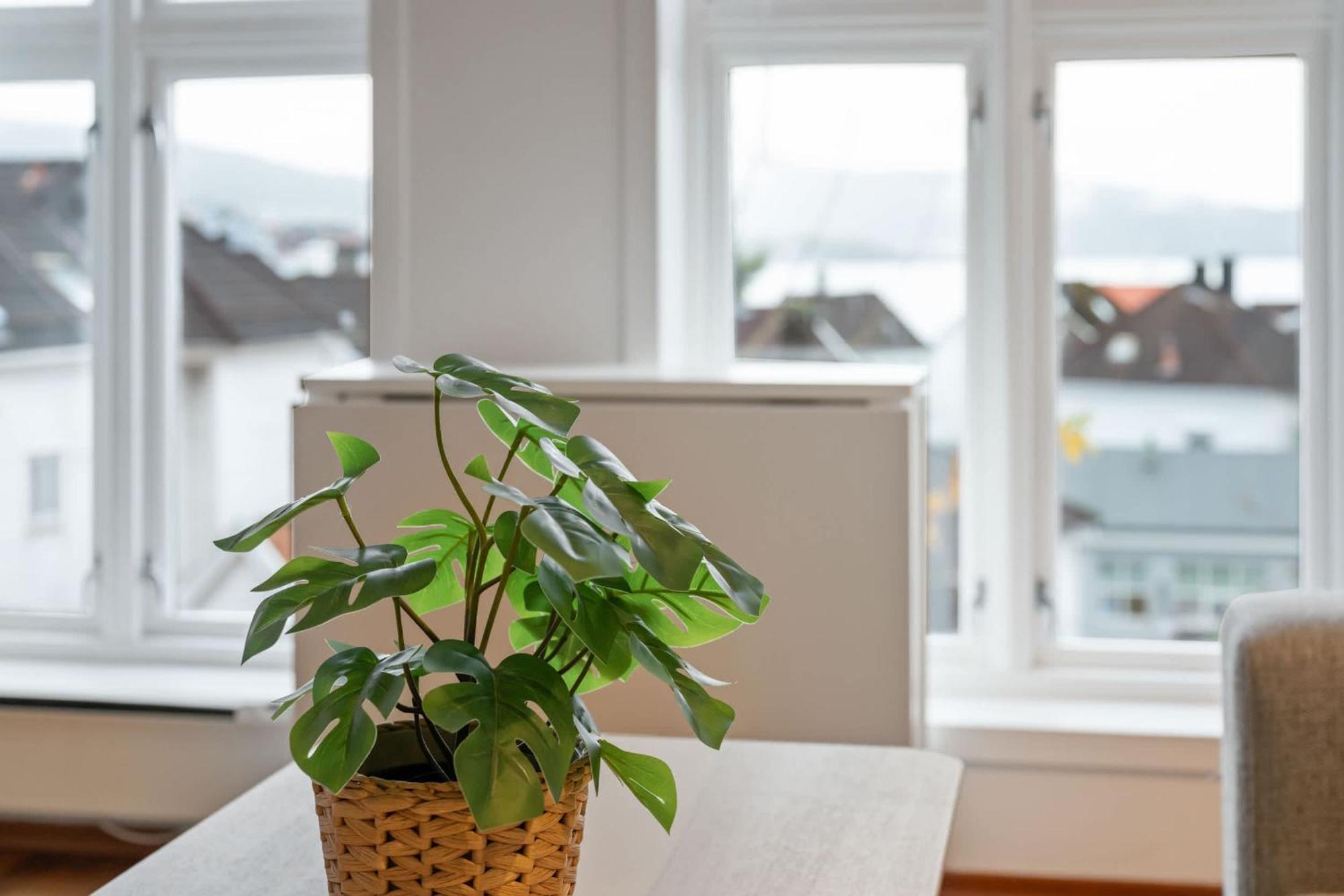 Apartment New Sandviken With Stunning View *
