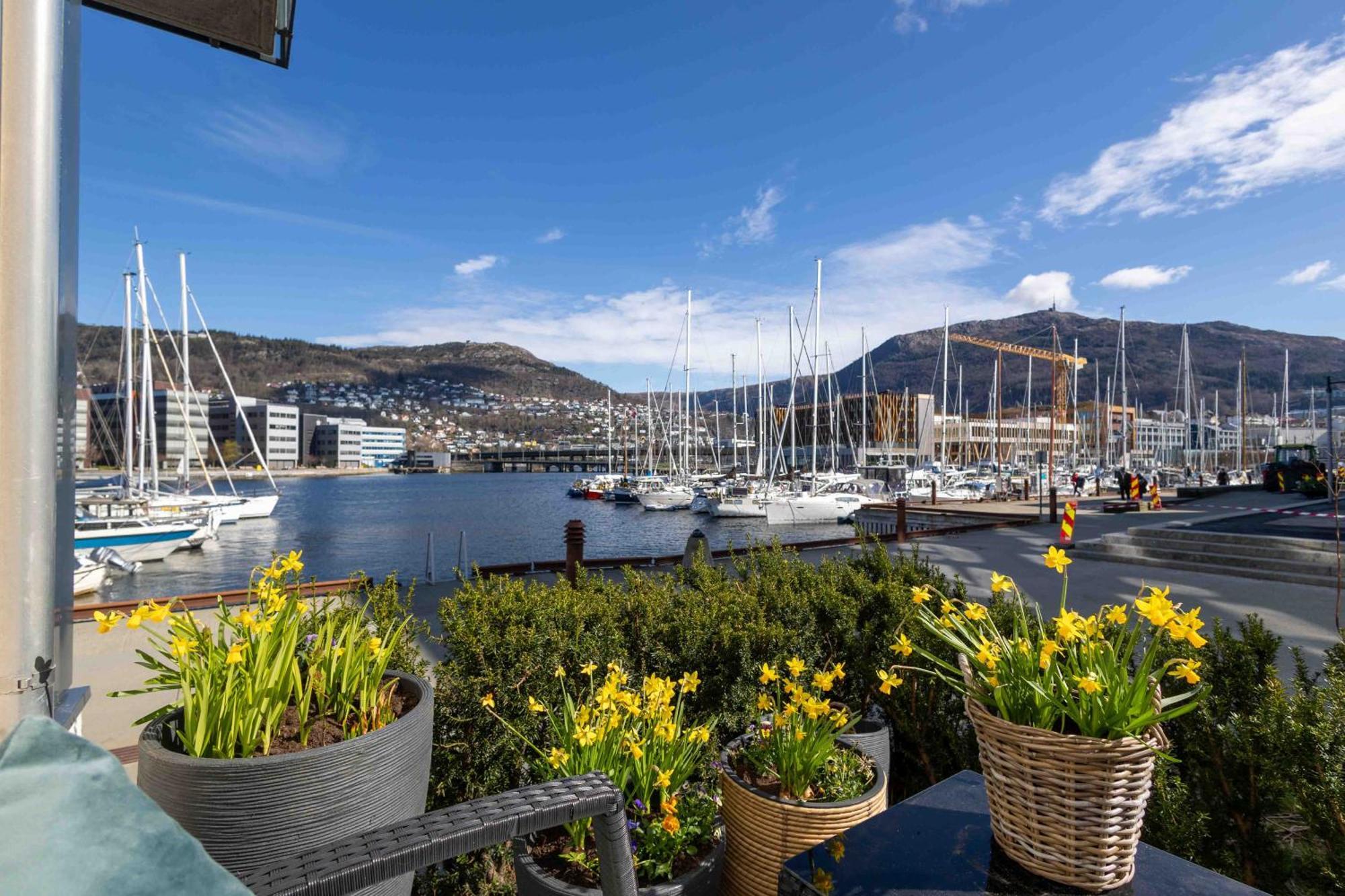 Byleilighet I Sjokanten M Terrasse