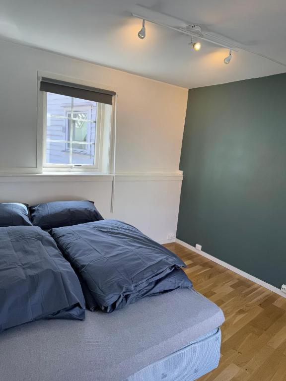 Bryggen - Prime Location, 2 Minutes From Bryggen