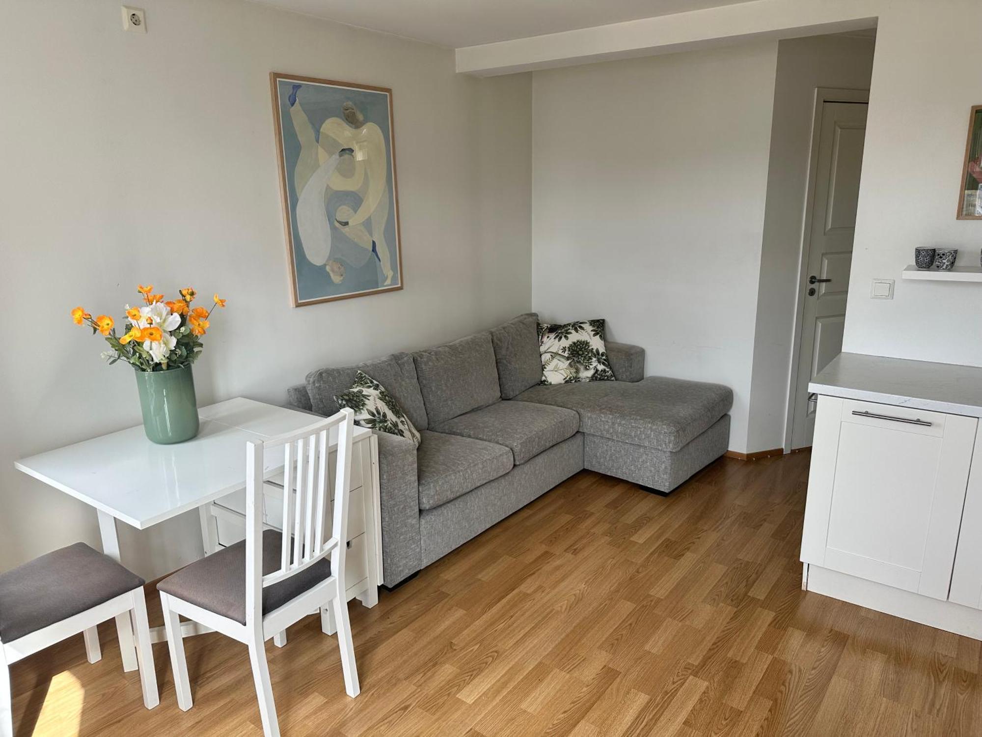 Apartment Outlook - View In *