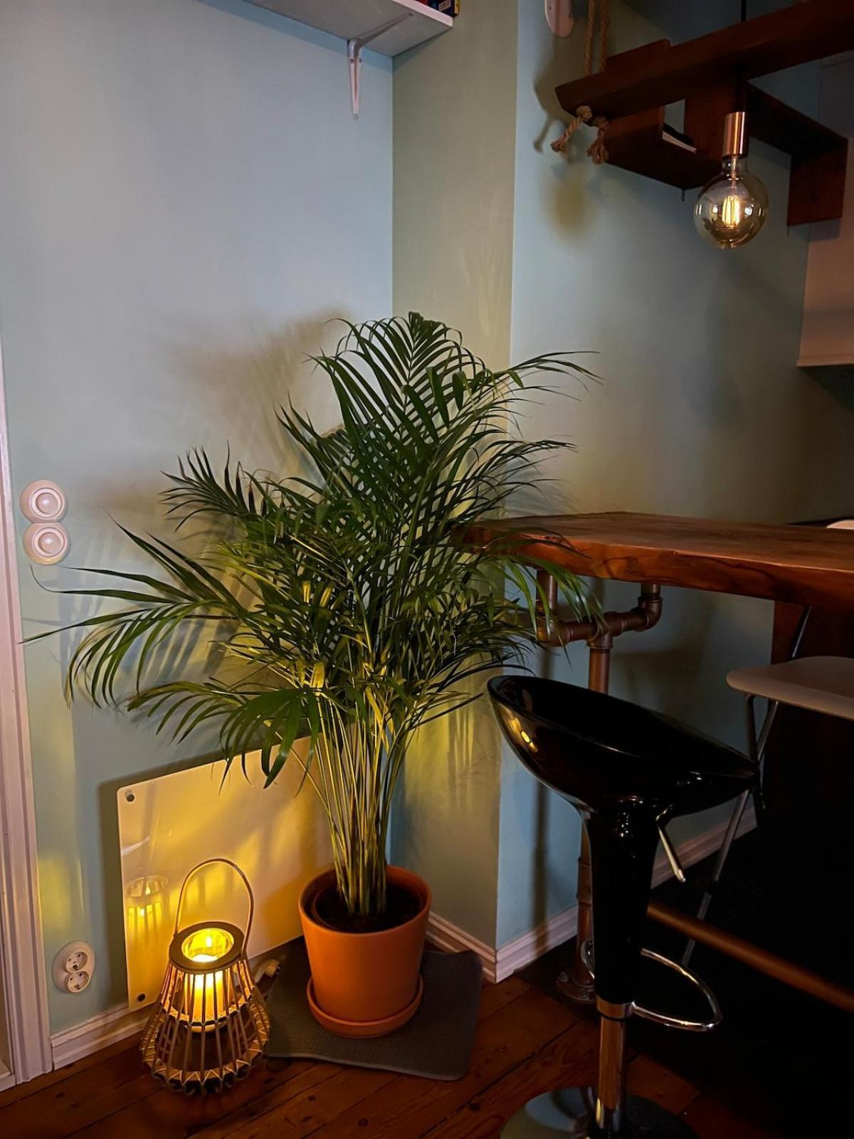 Cozy In Center Apartment *