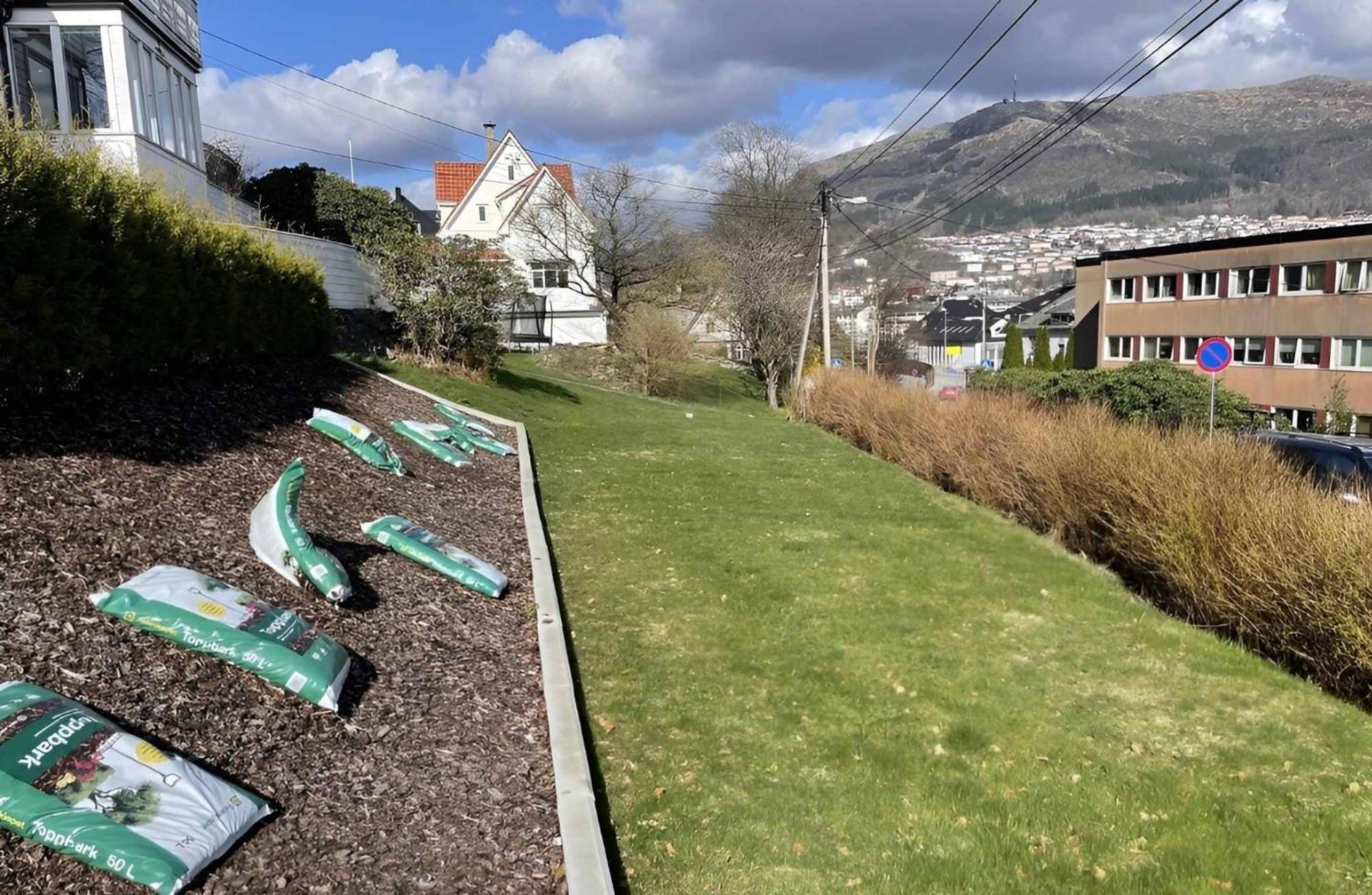 Peaceful With Balcony - Near Tram & Trails * Bergen