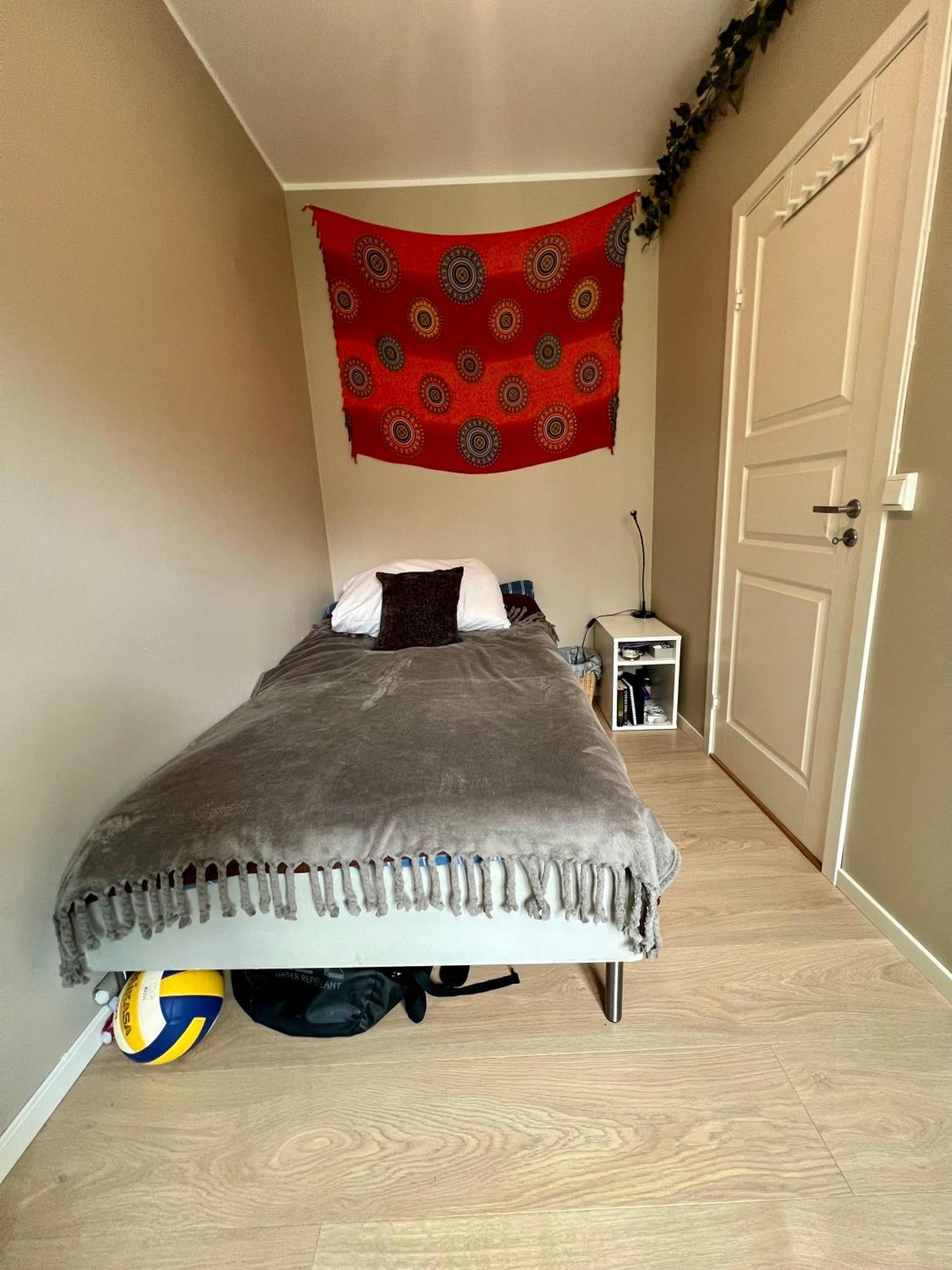 Newly Renovated With Lots Of Light! * Bergen