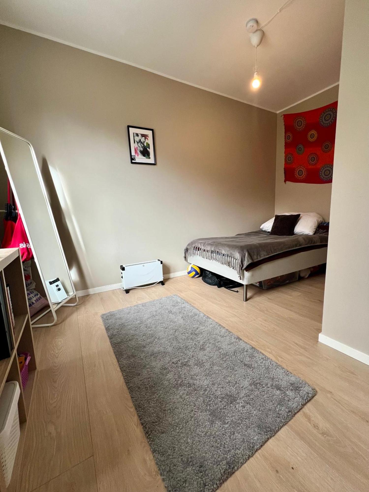 Newly Renovated With Lots Of Light! Appartement