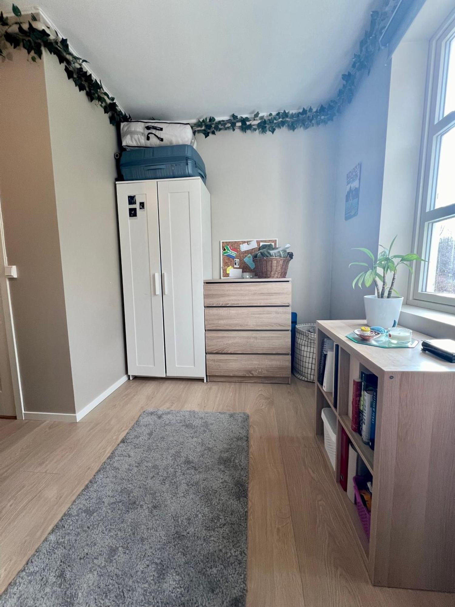 Newly Renovated With Lots Of Light!