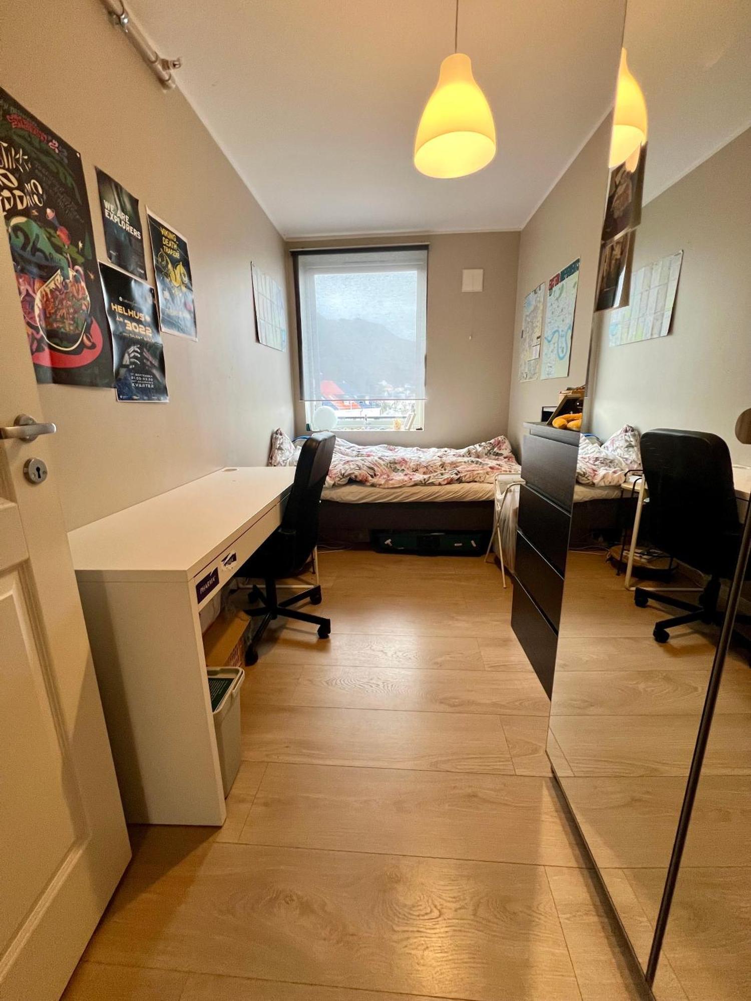 Newly Renovated With Lots Of Light!