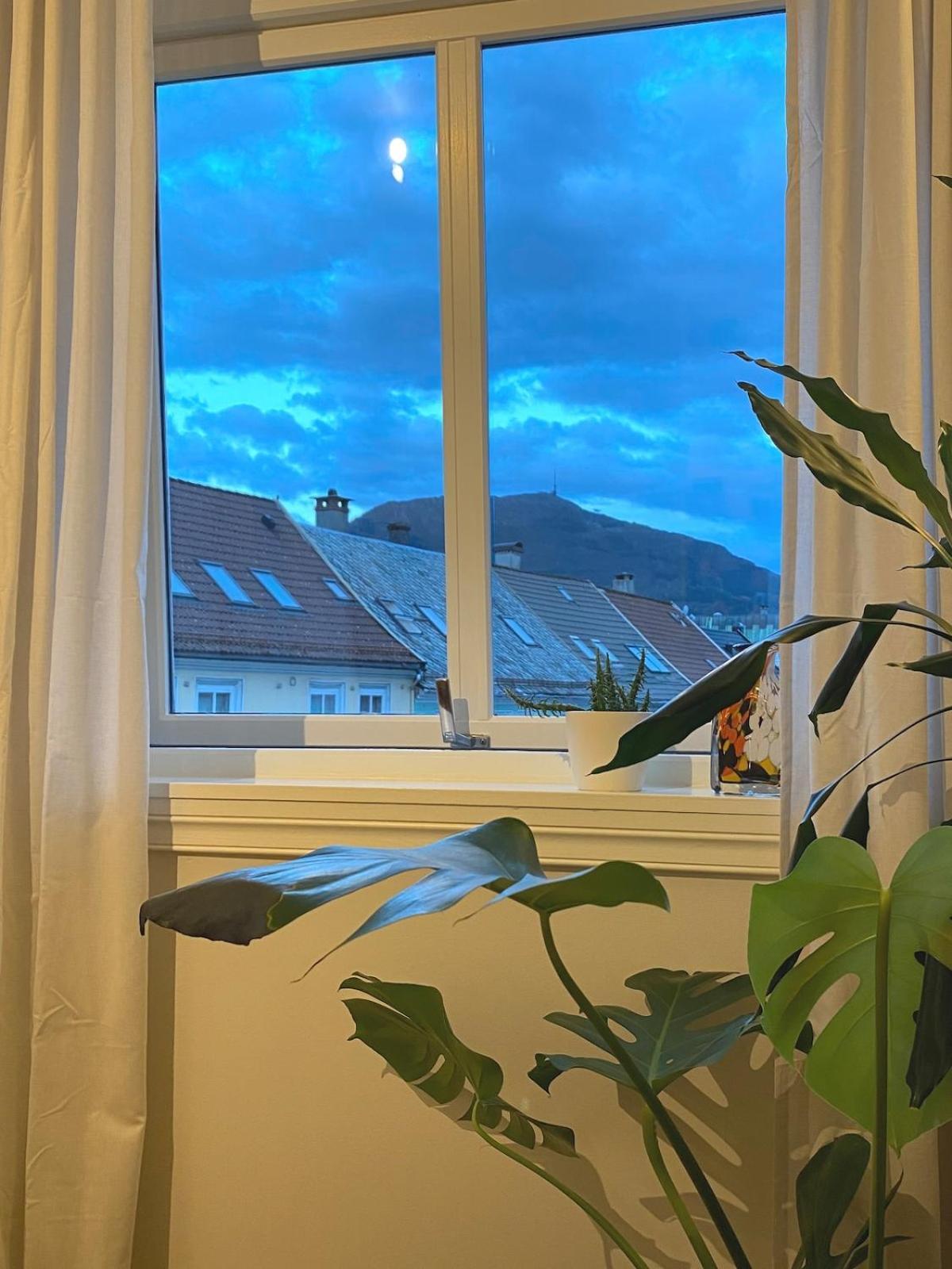 Apartment Unique Relaxed Corner Flat In Central Bergen