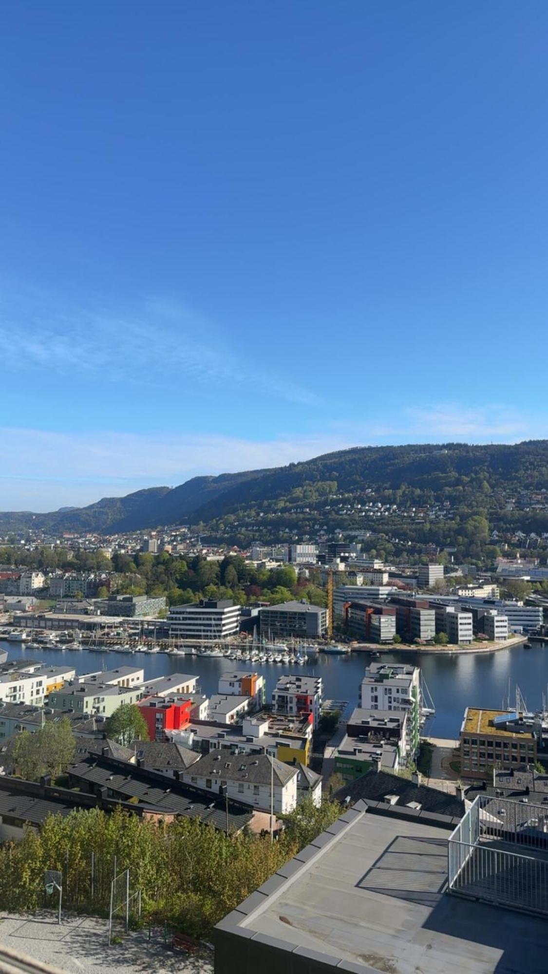Apartment Cozy Modern With Stunning Views & Location *