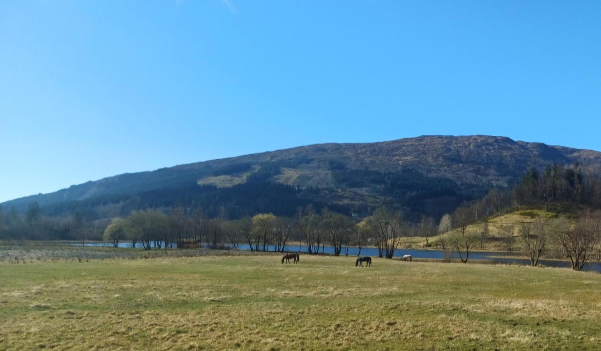 Leilighet Nesvika Nature Reserve Only 20 Min Away From