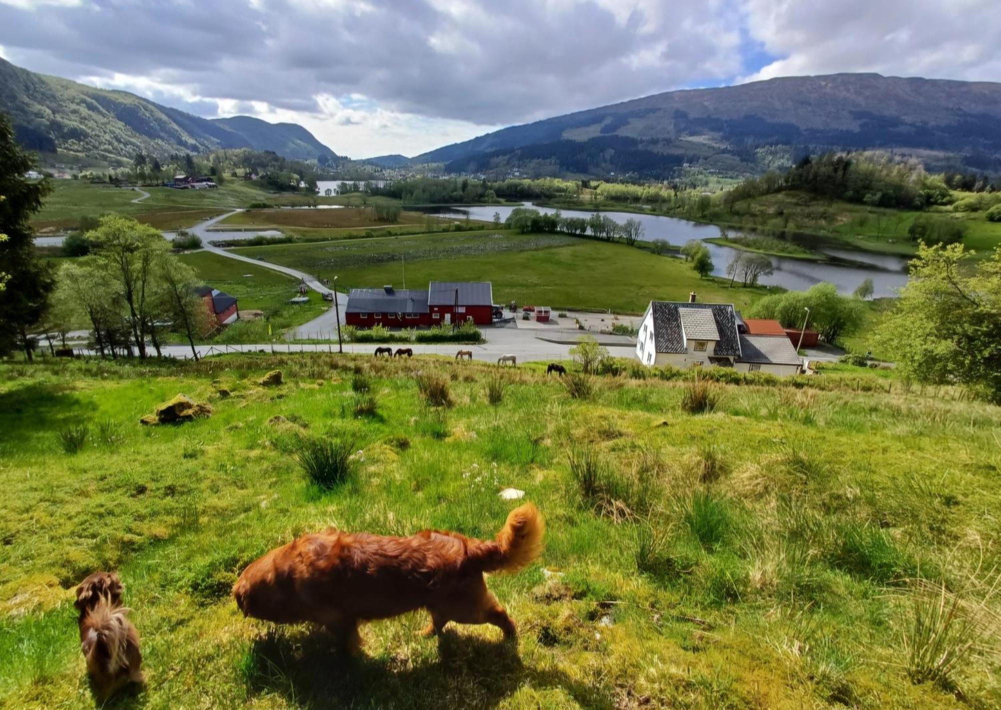 Nesvika Nature Reserve Home, Only 25 Min From Holiday home Bergen
