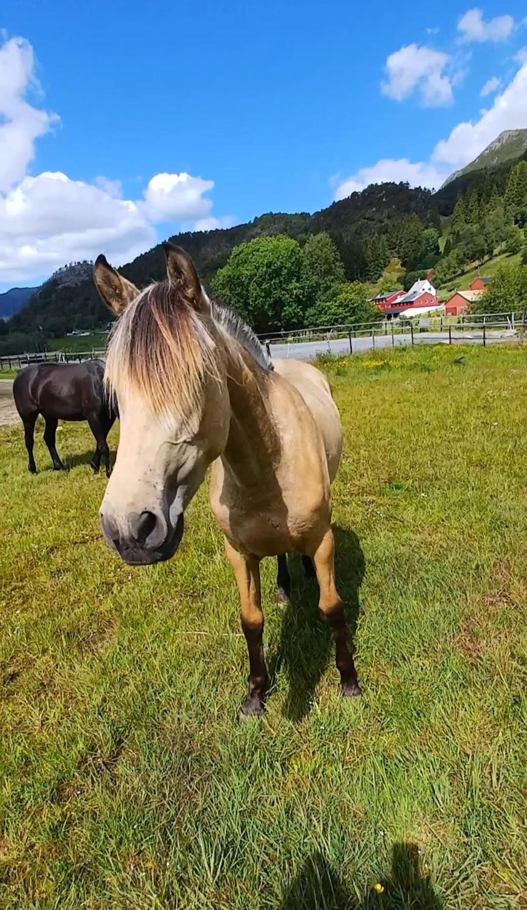 Holiday home Nesvika Nature Reserve Home, Only 25 Min From