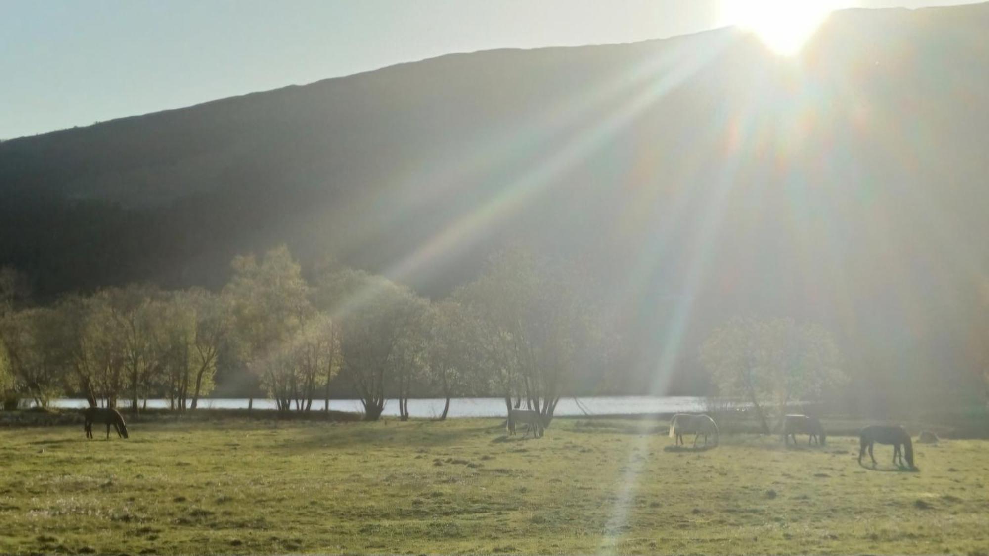 Nesvika Nature Reserve Home, Only 25 Min From * Bergen