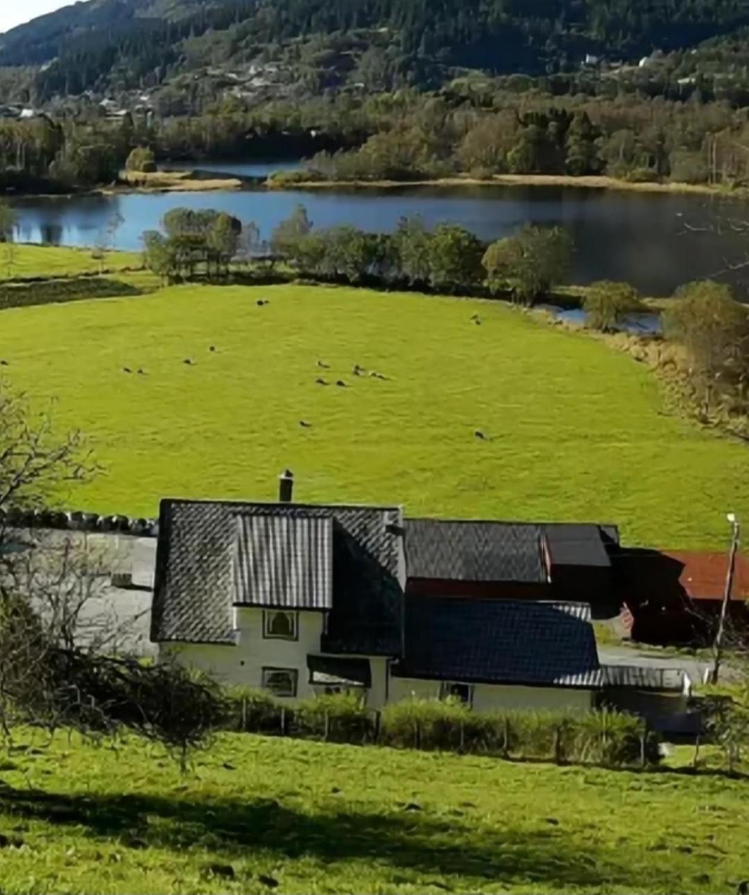Leilighet Nesvika Nature Reserve Only 20 Min Away From