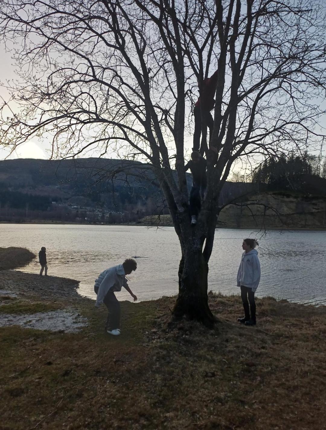 Nesvika Nature Reserve Only 20 Min Away From Bergen