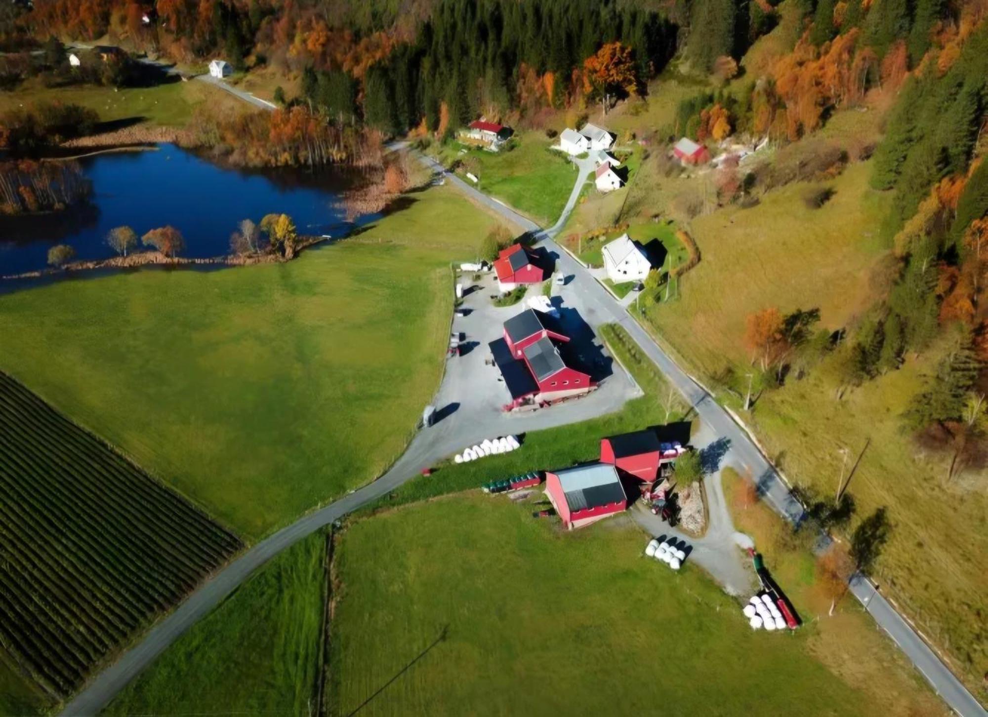 Nesvika Nature Reserve Only 20 Min Away From Leilighet *