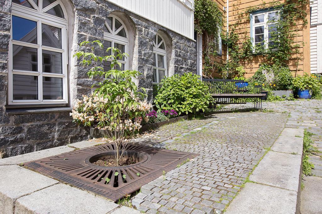 Leilighet Knosesmauet Bergen