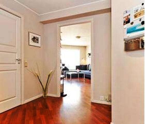 Apartment Skottegaten