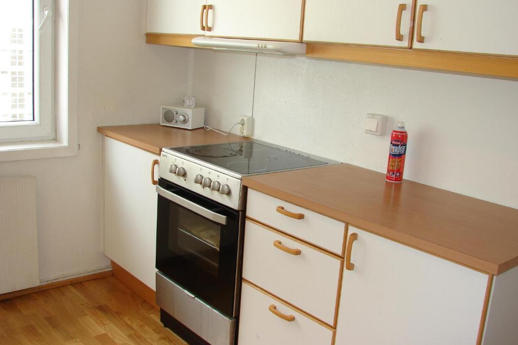 Apartment Sentrum