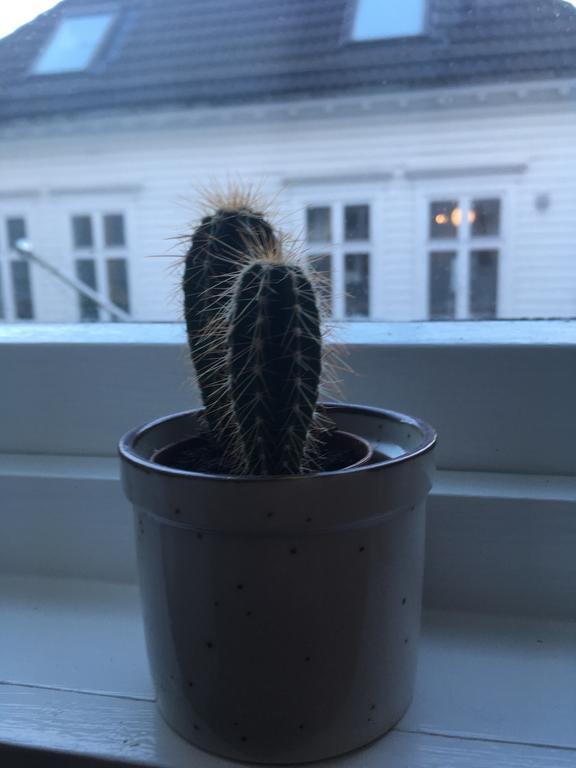 Apartment Ym40