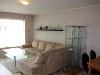 Skottegaten Apartment