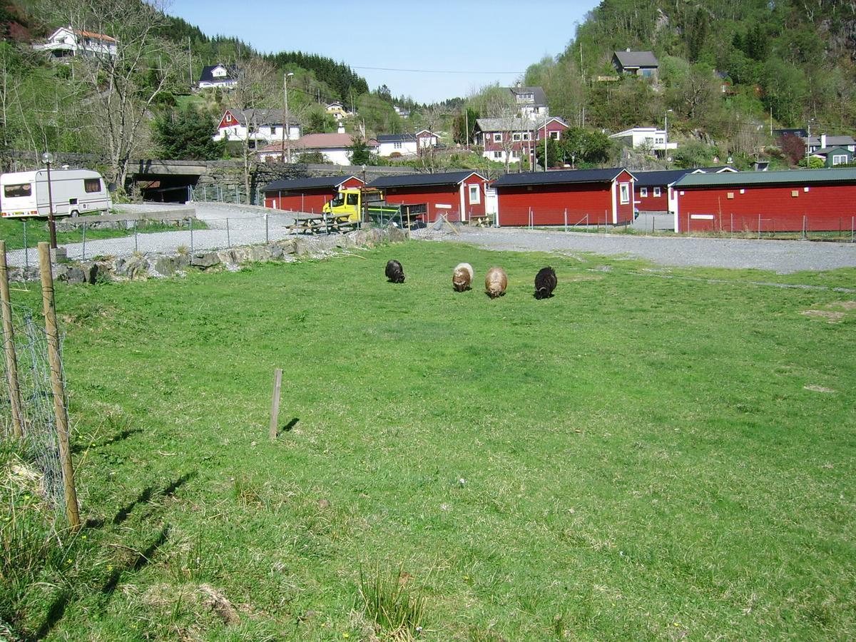Grimen & Camping *