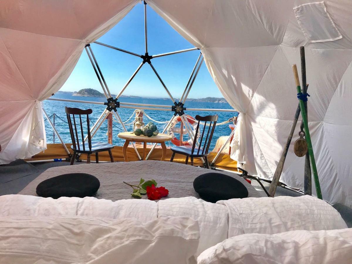 Artic Dome Fjords -