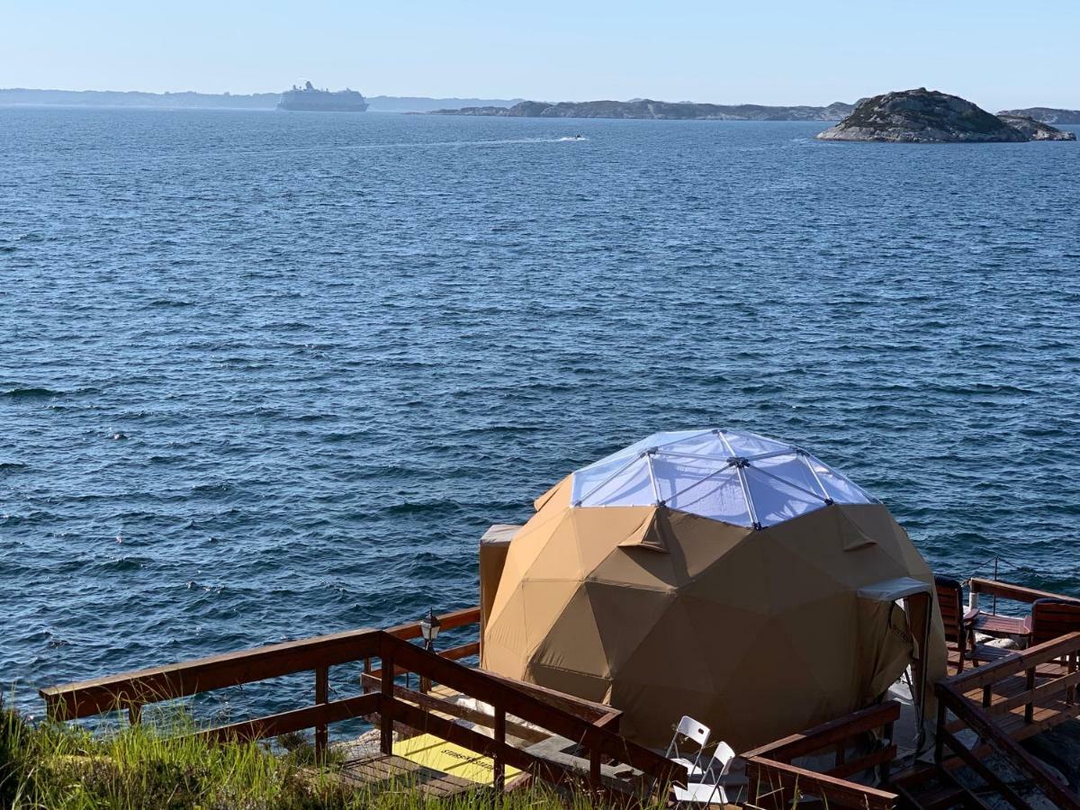 Artic Dome Fjords - Luxury tent *