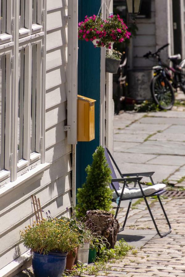 Claus Ockenssmauet 3